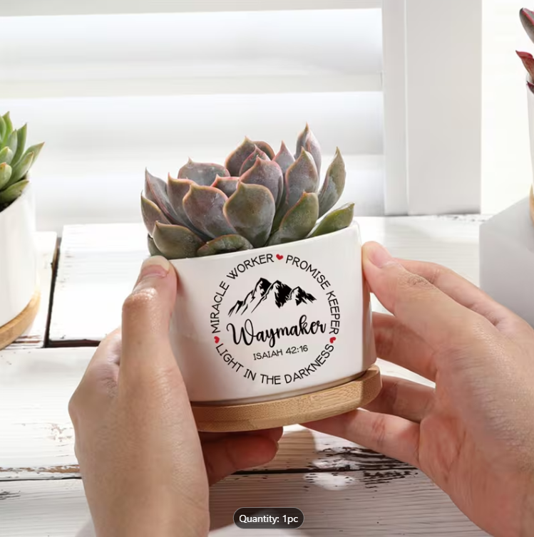 Ceramic Plant Pot with Bamboo Tray - Waymaker